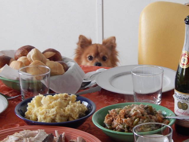 9 Naughty Dogs Who Couldn’t Wait For Thanksgiving Dinner