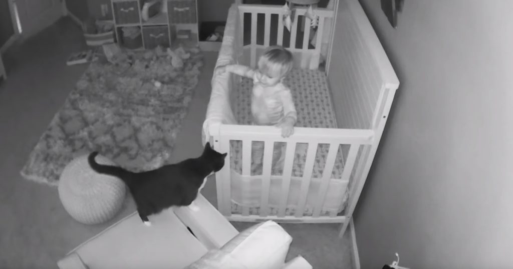 Cat Wanders Into Baby’s Room, And A Conversation Ensues From The Crib