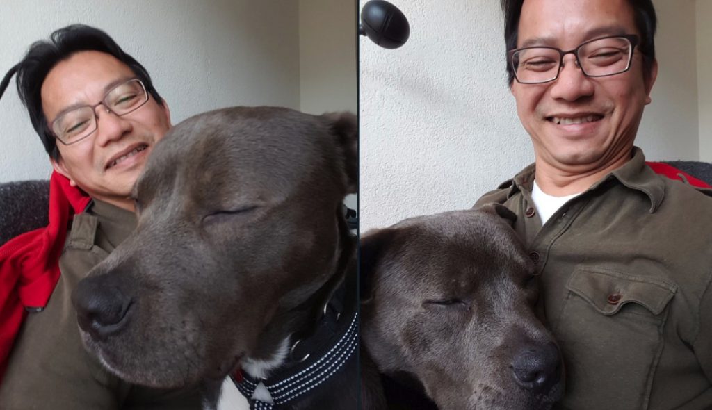 16 Grown-Up Pups Who Insist On Remaining Lap Dogs