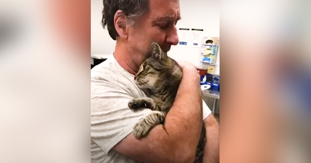 Man Reunites With Cat In Tearful Embrace After 7 Years Apart