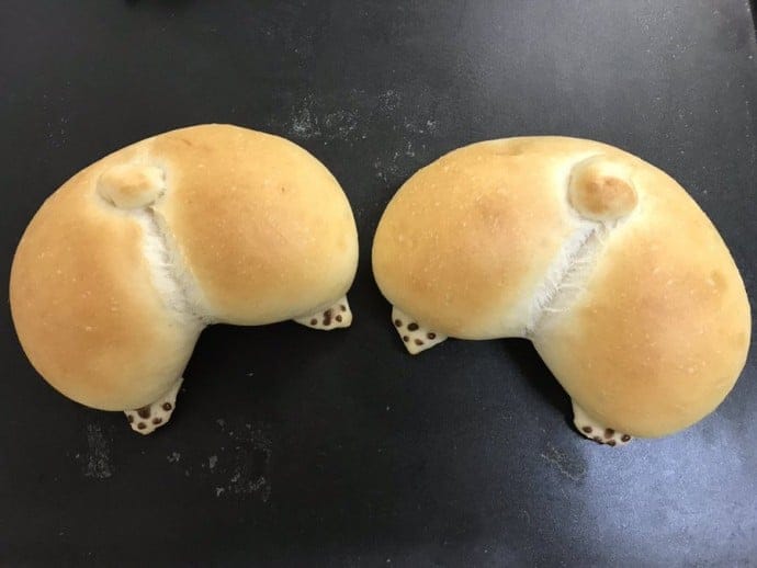 A Bakery In Japan Makes The Most Adorable Corgi Butt Buns Stuffed With Jam Or Custard