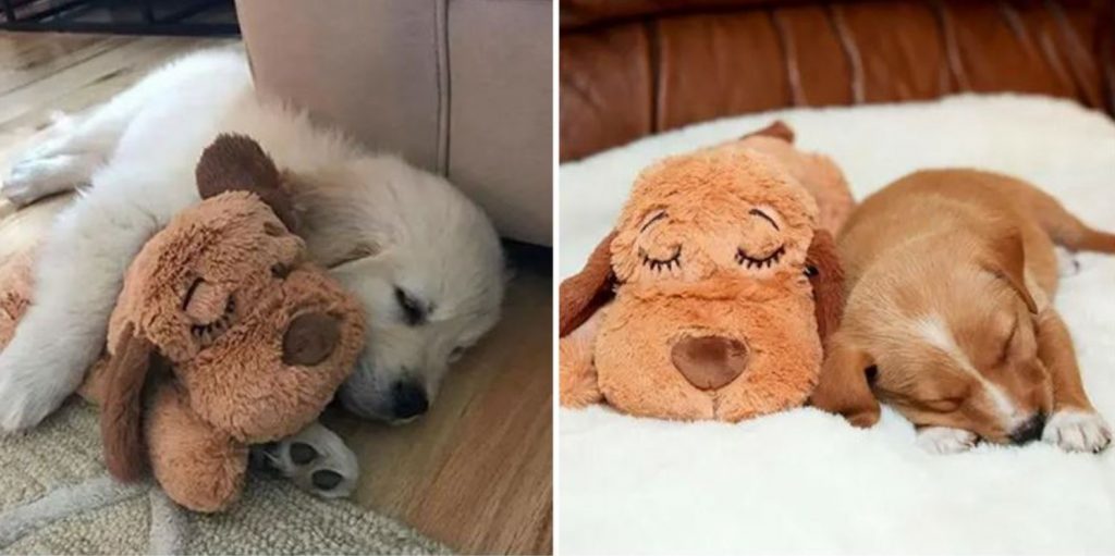 This Cute Snuggle Puppy Could Be The Cure For Your Dog’s Stress