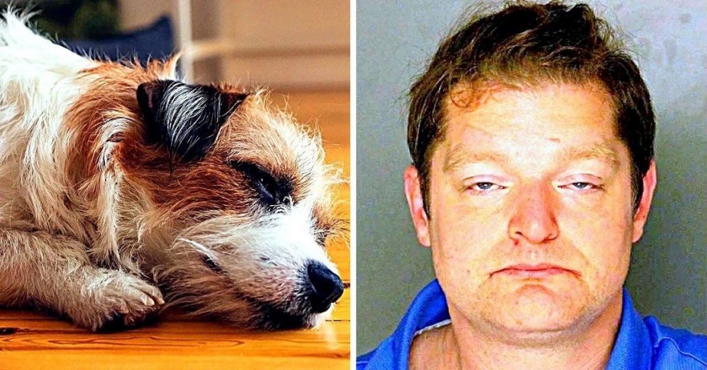 Man Wanted To “Discipline” His “Annoying” Puppy, So He Beat The Puppy To Death