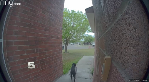 Stray Dog Caught On Camera Stealing Family’s Packages From Their Doorstep
