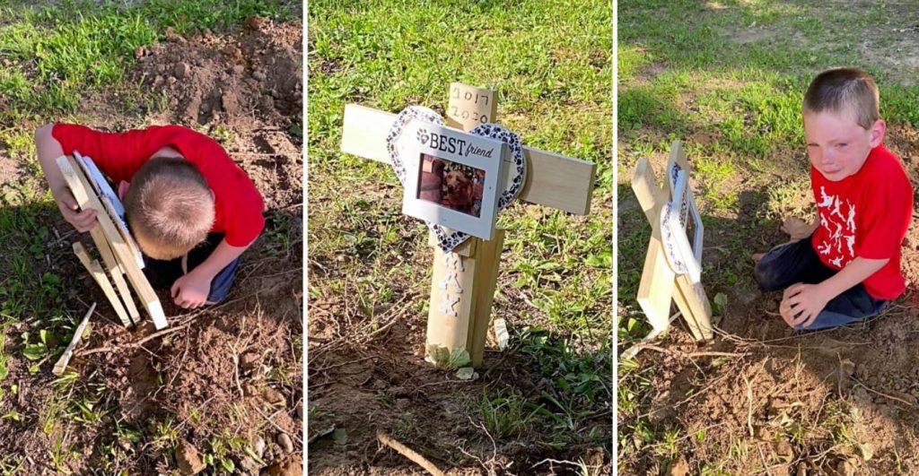 Boy Grieves Over Best Friend’s Grave After Dog Was Shot 8 Times With Pellet Gun