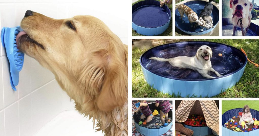22 Best Dog Products To Treat Your Pup