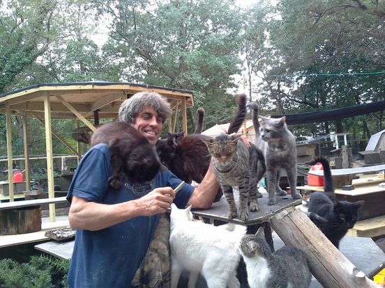 Man Rescues Over 300 Cats To Honor His Son That Died In A Motorcycle Accident