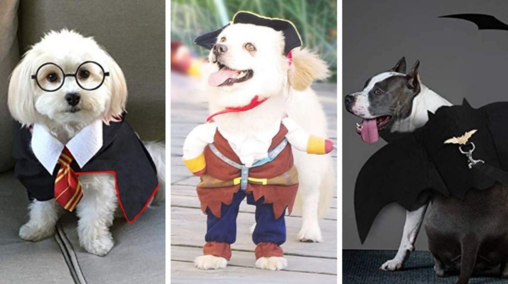 15 Awesome Dog Halloween Costumes You Can Get on Amazon