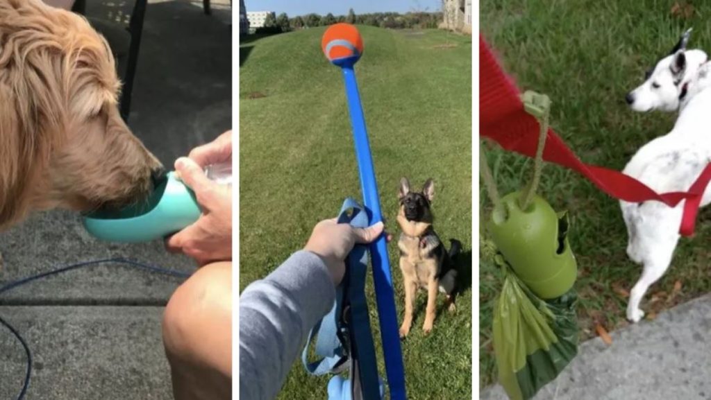 18 Dog Products On Amazon Reviewers Have Literally Called “Genius”
