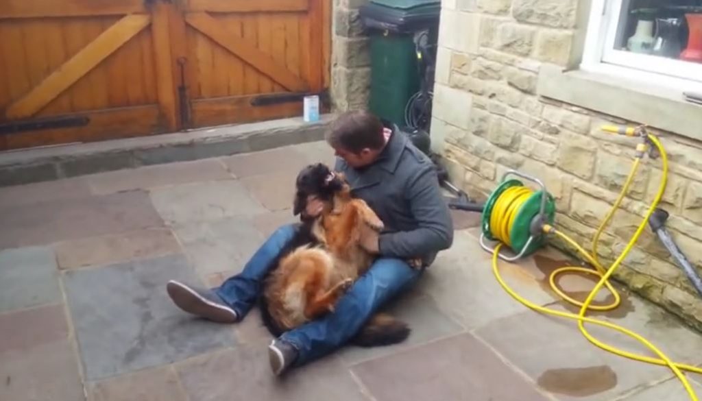 Dog Cries Out In Happiness After Months Apart From Owner