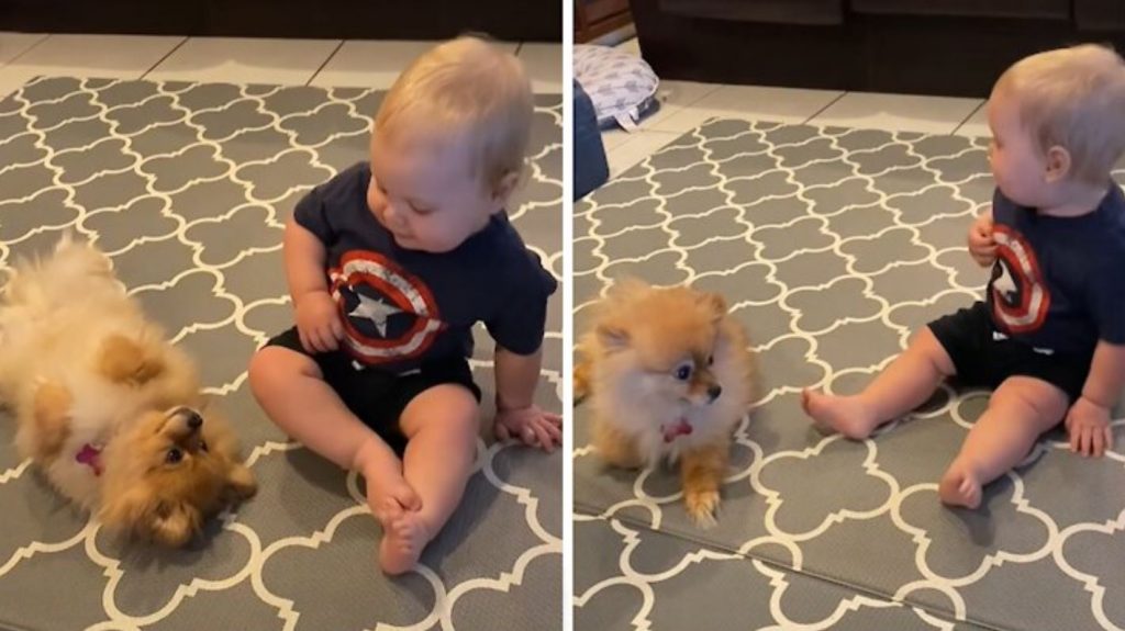 Baby and puppy already share an incredible bond
