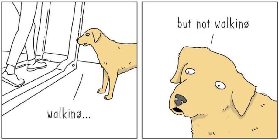 20 Funny Comics Showing What Animals Would Say If They Could Talk