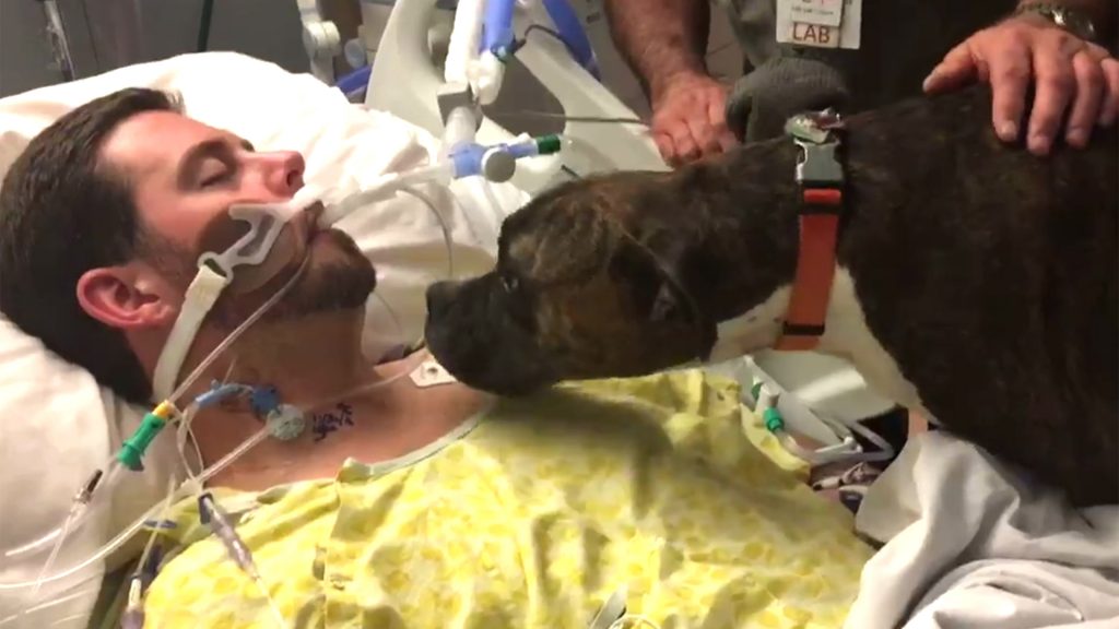 Dog Says The Final Goodbye to his Dying Owner In Hospital