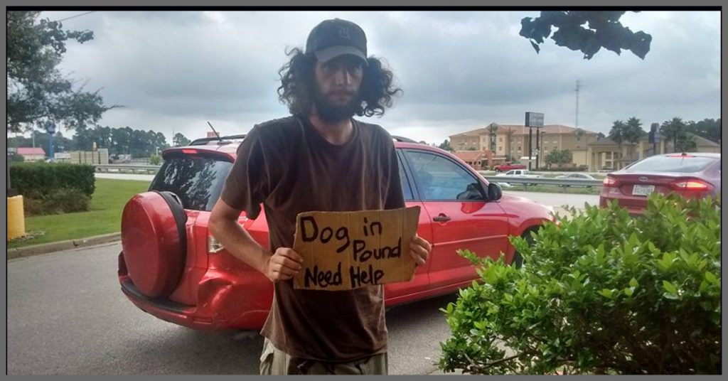 Homeless Man Stands Outside Walmart Pleading For Help For His Dog And Woman Came To His Rescue