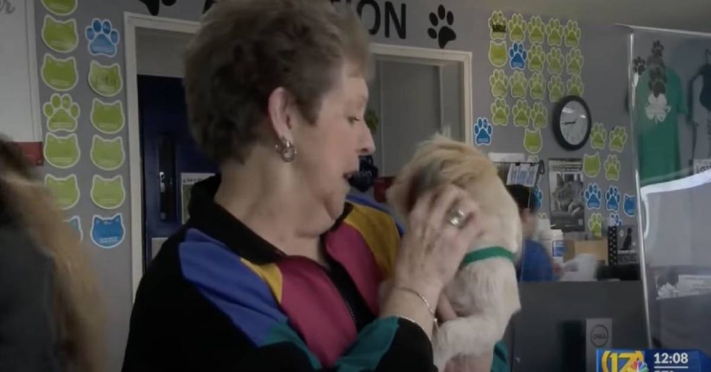 80-Year-Old Woman Waits Outside Shelter All Night To Adopt Perfect Rescue Dog