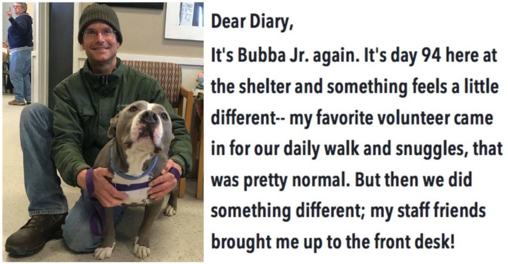 Rescue Dog Is Stuck At Shelter For 94 Days Before His ‘Favorite Volunteer’ Brings Him Home