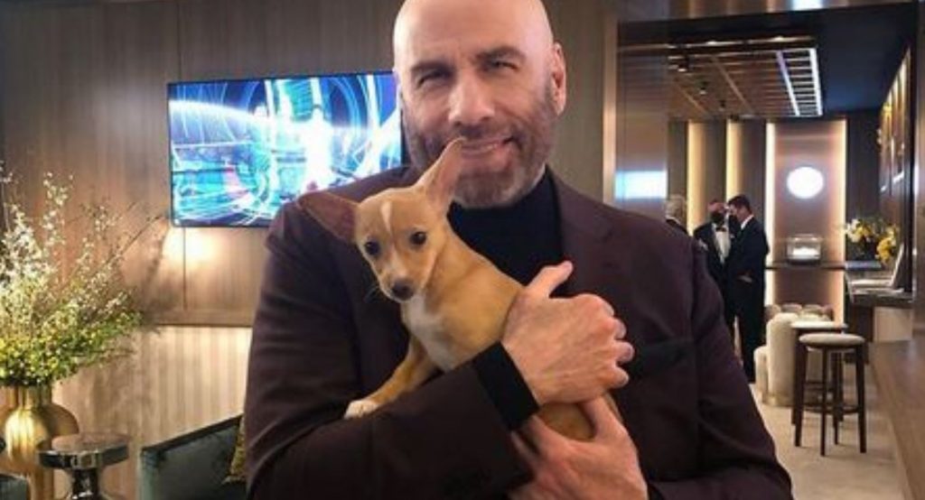Rescue Puppy Featured In Betty White Oscar Tribute Adopted By John Travolta’s Son