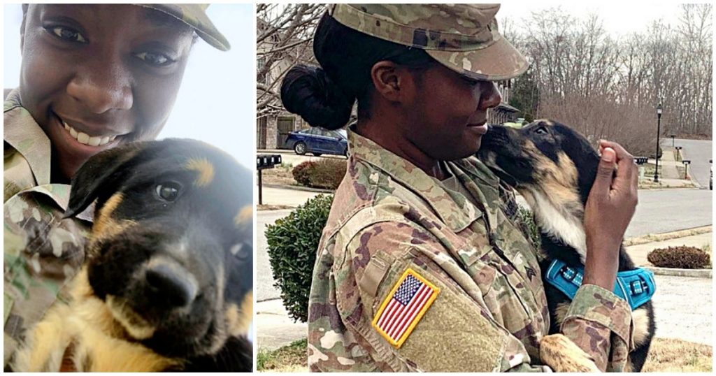 Soldier Reunites With Puppy She Rescued From Dog Catchers While Abroad