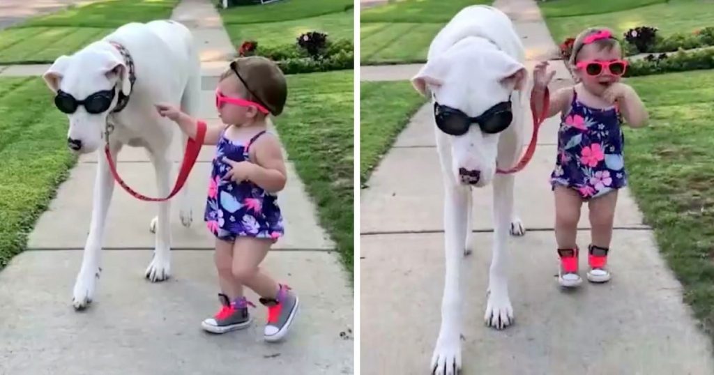 Toddler Insists On Holding The Leash When Taking Her Deaf-Blind Dog For A Walk