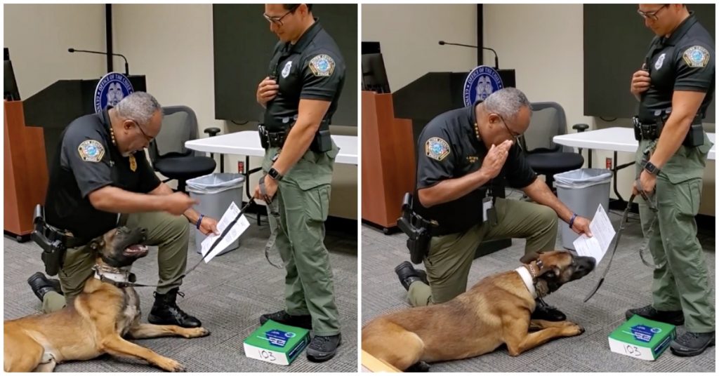 Playful Police K9 Can’t Contain His Excitement During His Swearing In Ceremony
