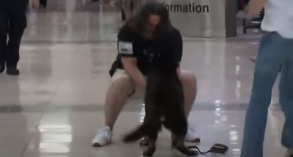 An Emotional Reunion at the Airport for a US Marine Officer and His Canine Partner
