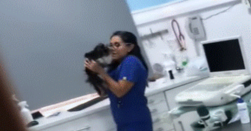 Vet Caught Dancing With Dog When No One Is Watching