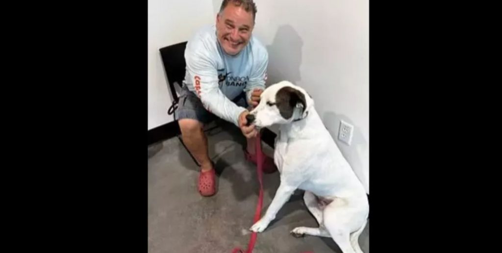 Deaf dog surrendered by family finds forever home with man who also suffers from hearing loss