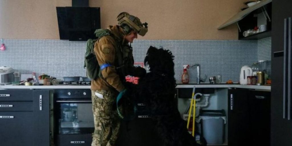 Ukrainian Soldier Is Surprised To Find A Dog In An Abandoned Building