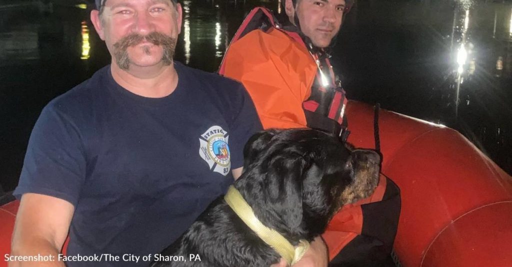 Pennsylvania Firefighters Rescue Dog From River Late At Night
