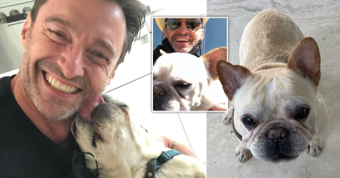 Hugh Jackman Mourns The Loss Of Beloved Dog, Dali