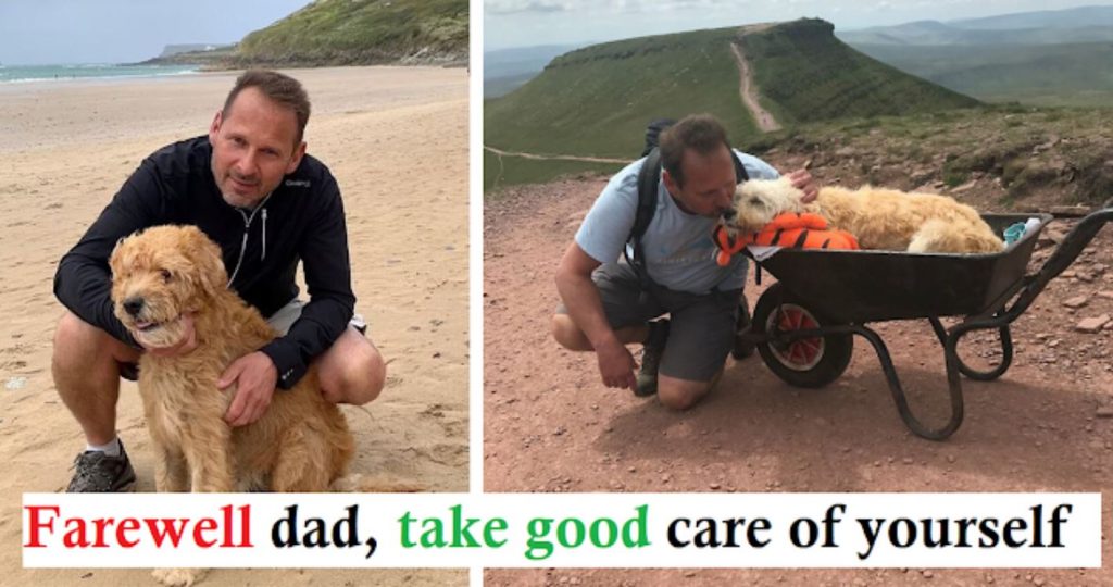 Devoted Dog Dad Takes Ill Labradoodle on a Final Mountain Hike in a Wheelbarrow to Say Goodbye