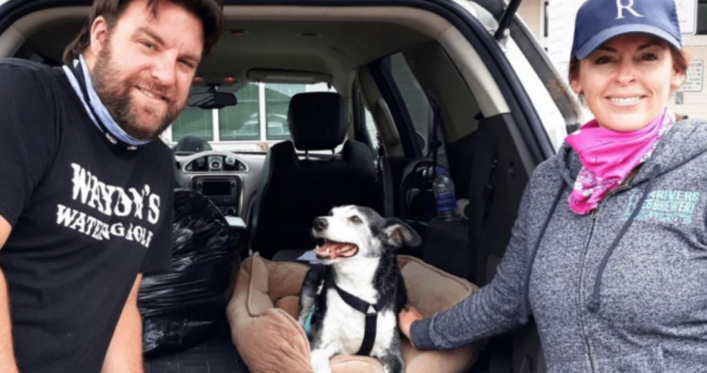 Senior Dog Found In Car Of Deceased Owner