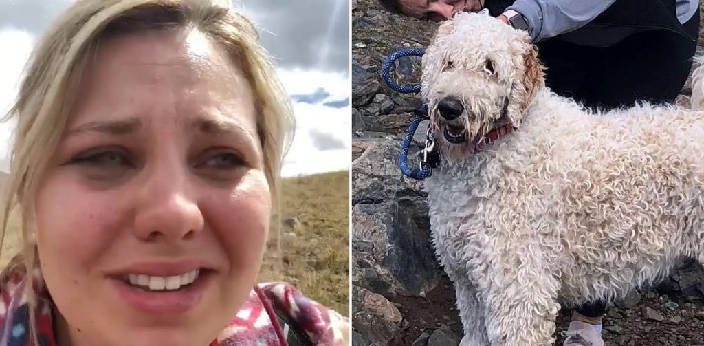Woman Has Tearful Reunion With Dog Missing For 19 Days After Crash