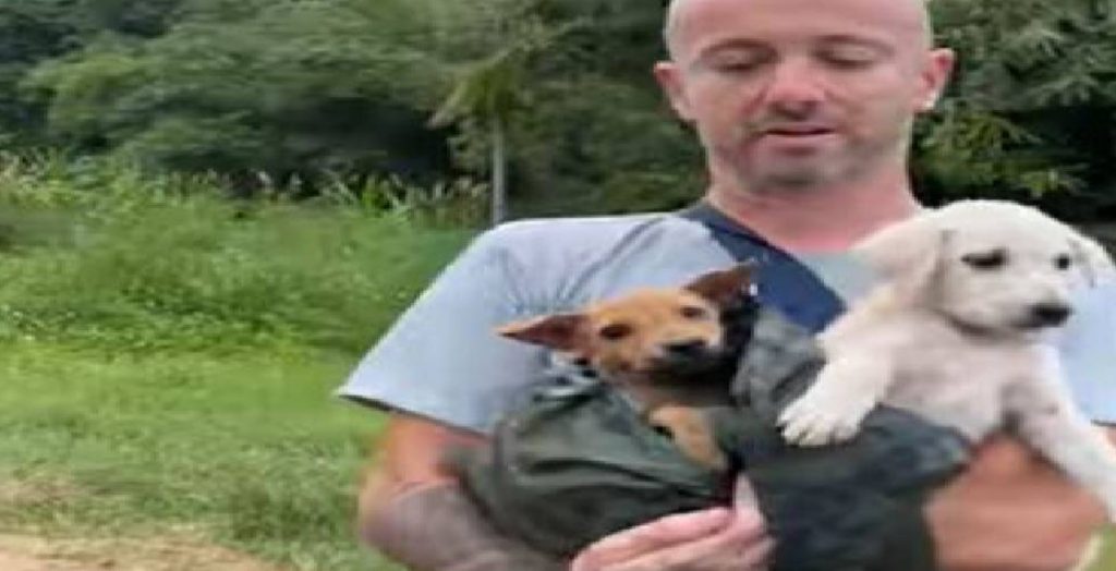 Please, Stop Dumping Puppies like Garbage: Man Dedicates His Life to Rescuing Dogs and Puppies