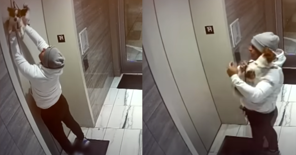 Man Rescues Dog Dangling From Elevator Doors