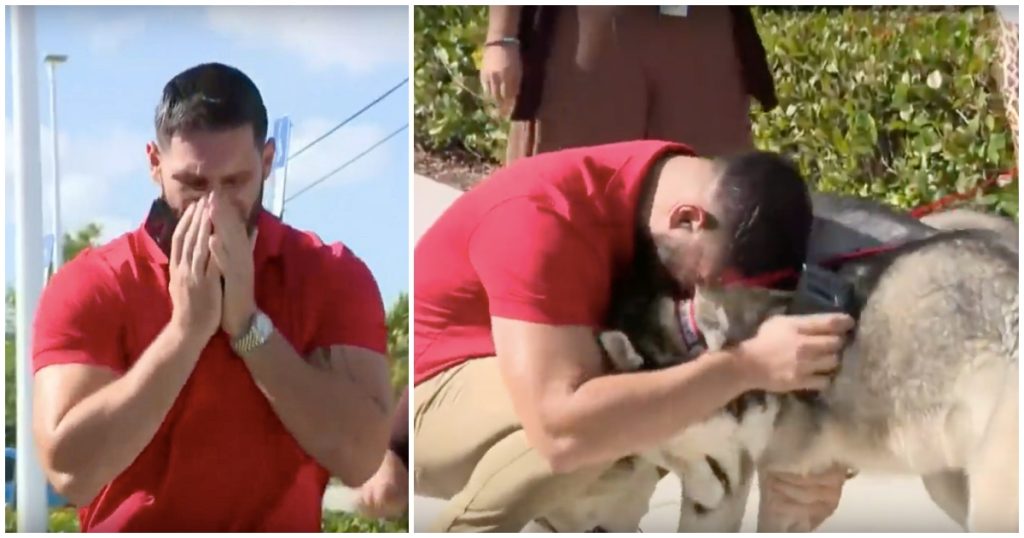 Man Overwhelmed with Joy When He Finds His Lost Dogs at Shelter