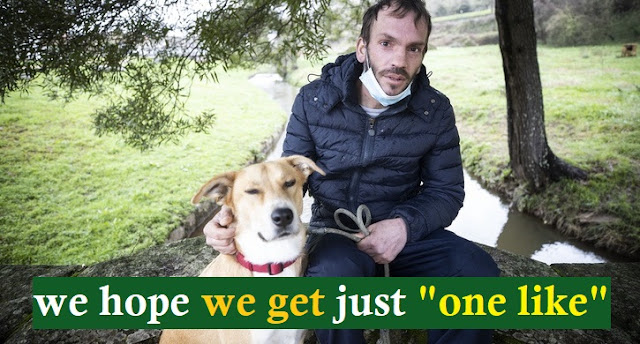Homeless Man With Illness Refuses to Give Up His Dog for Shelter Housing