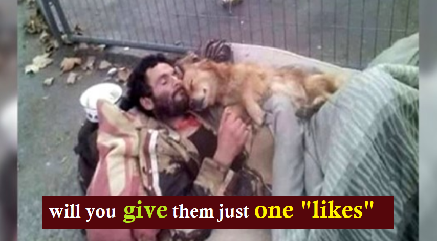 This homeless man sleeps with his dog in his arms, a four-legged angel who never lets him down