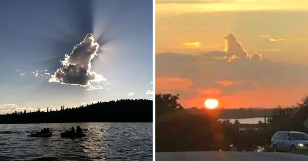 Canine-Shaped Clouds Fuel Belief That Dogs Indeed Go To Heaven