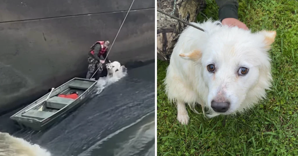 Volunteer Firefighters Rescue Dog Tossed Into Rushing Waters By Heartless Owner