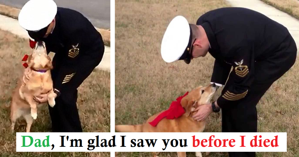 A Heartwarming Farewell: Dog Battles Cancer To Reunite With Her Owner