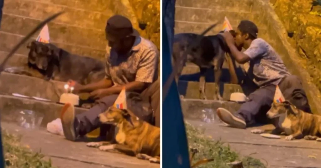 Homeless Man’s Heartwarming Birthday Celebration for His Dogs Goes Viral and Transforms His Life