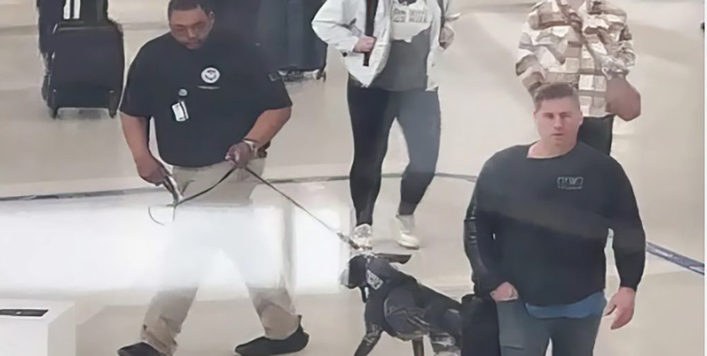 Investigation Underway for Alleged Rough Handling of Bomb-Sniffing Dog by TSA Agent