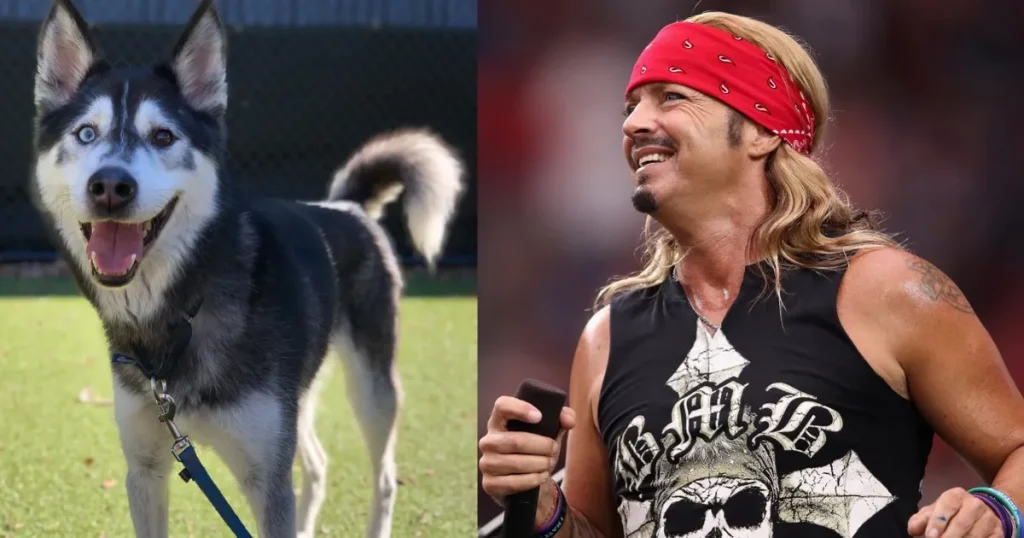 Rockstar Bret Michaels Adopts Hero Dog After Life-Saving Act