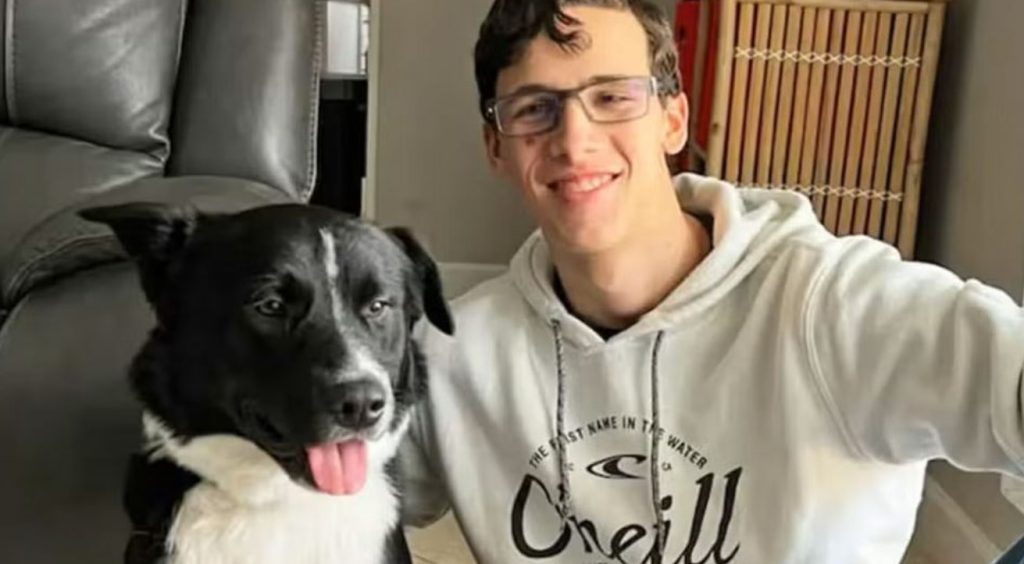 Heroic Border Collie Saves Teen’s Life During Sudden Stroke