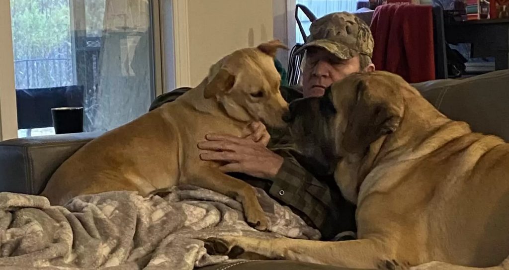 Woman Walks In On Her Dad Napping With All The Neighbor Dogs