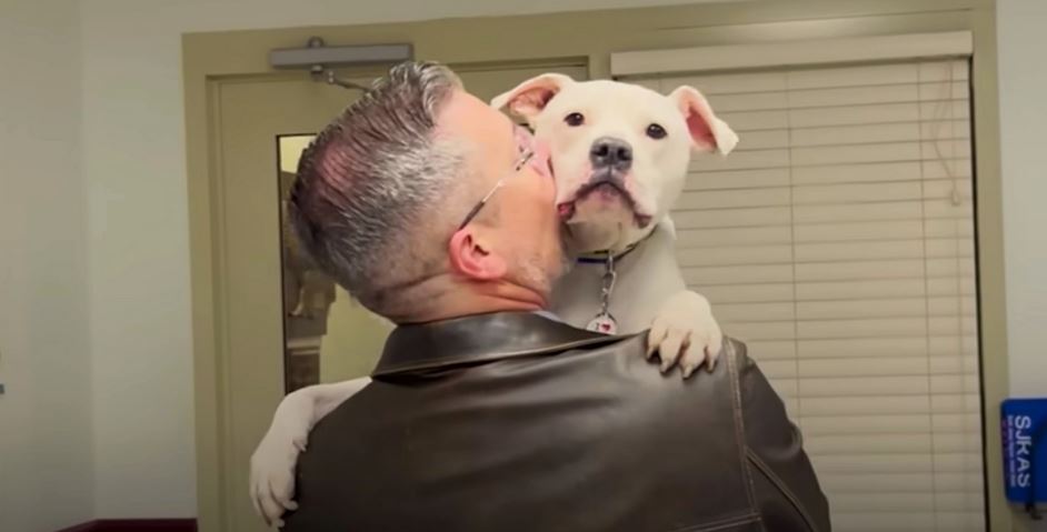 They Judged Him For Adopting A “Broken-Dog” But Knew He Had An Advantage