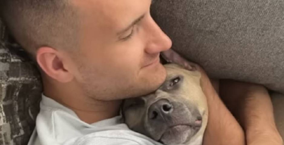 Couple Discovers ‘Surprise’ About Pit Bulls No One Warned Them About Before Adopting