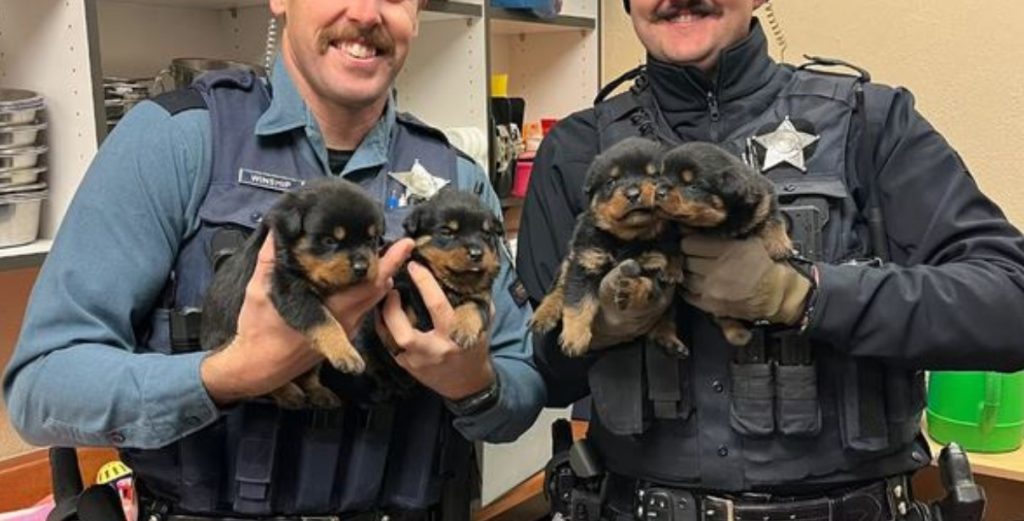 Oregon Police Rescue 15 Dogs Abandoned For Days In Back of U-Haul Truck