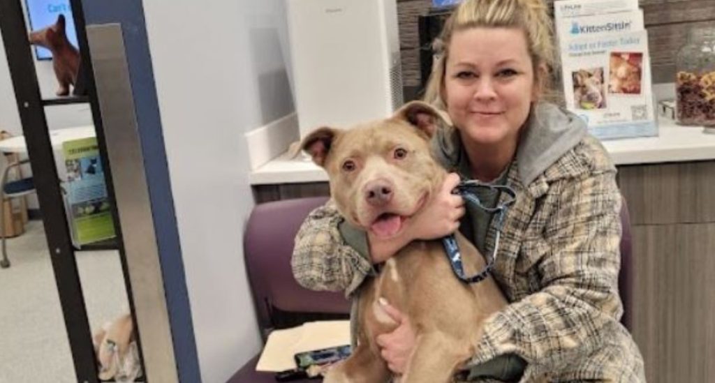 Dog Surrendered To Shelter When Dad Was Deployed Finds His Way Back To Family Months Later